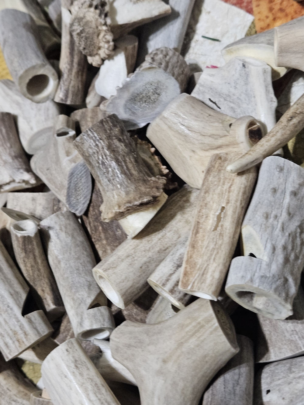 Natural Deer Antler Whistles?Accents? Cut And Drilled – Neutral Gray/Brown - Picture 4 of 16
